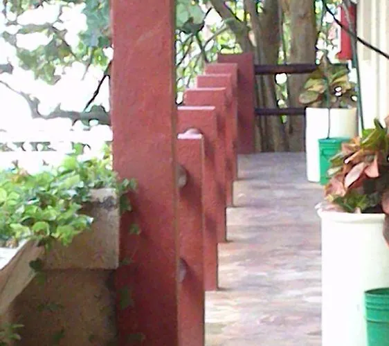 Safari Hotel