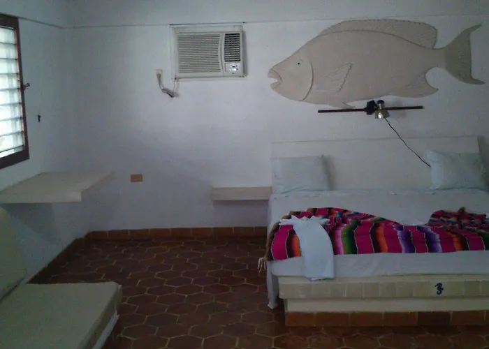 Safari Hotel Cozumel